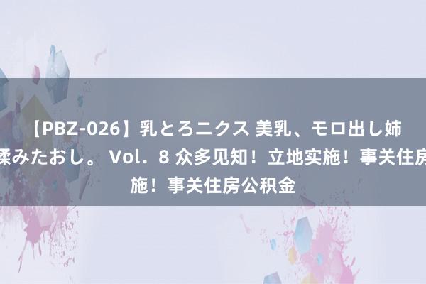 【PBZ-026】乳とろニクス 美乳、モロ出し姉ちゃん揉みたおし。 Vol．8 众多见知！立地实施！事关住房公积金