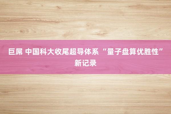 巨屌 中国科大收尾超导体系 “量子盘算优胜性”新记录