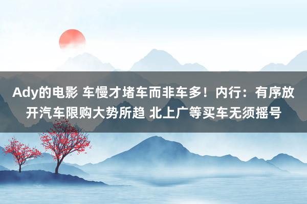 Ady的电影 车慢才堵车而非车多！内行：有序放开汽车限购大势所趋 北上广等买车无须摇号