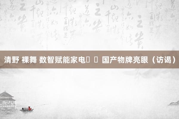 清野 裸舞 数智赋能家电  国产物牌亮眼（访谒）