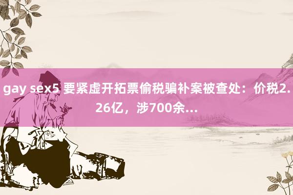gay sex5 要紧虚开拓票偷税骗补案被查处：价税2.26亿，涉700余...